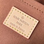 louis-vuitton-ellipse-pm-M46196_PM2_Front-view-1.jpg