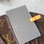 louis-vuitton-lv-fan-M14804_PM1_Worn-view-1.jpg