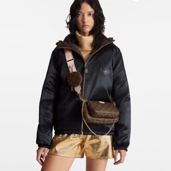 LV Multi Pochette Accessoires